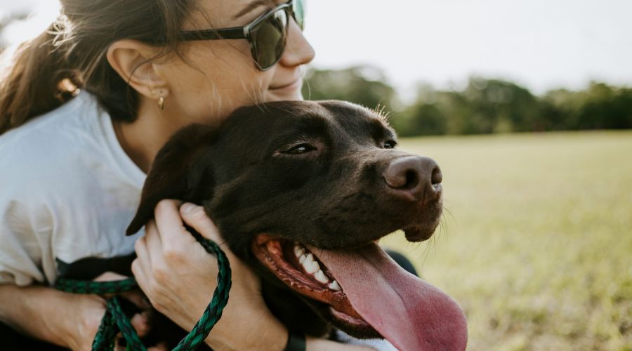 Woman wearing sunglasses hugs a happy brown dog with its tongue out in a grassy field.